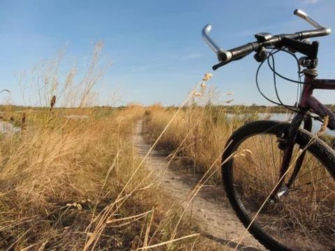 Appartamento Da Alberto Venice Ca Vio Beach Cavallino-Treporti Buitenkant foto